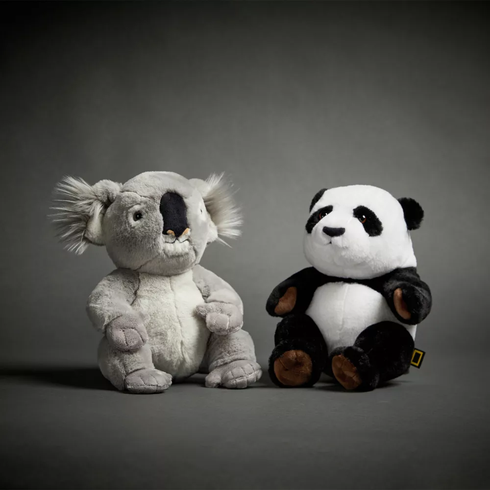 National Geographic Peluche Moyenne Bébé Panda 4 National Geographic Peluche Moyenne Bébé Panda – Image 2