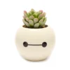 Disney Store Plante Artificielle En Pot Baymax, Les Nouveaux Héros 1 Disney Store Plante Artificielle En Pot Baymax, Les Nouveaux Héros -Disney 465043353962
