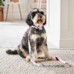 Disney Store Collier Pour Chien Les 101 Dalmatiens -Disney 6504051700029M 2